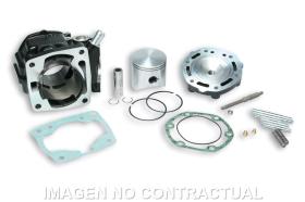 MALOSSI 316814 - Cilindro Con Culata Aluminio Honda NSR 125 R, CRM