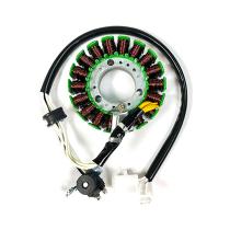 SGR 04163077 - Stator SGR Trifase 18 polos con pick-up 2 cables Xcity